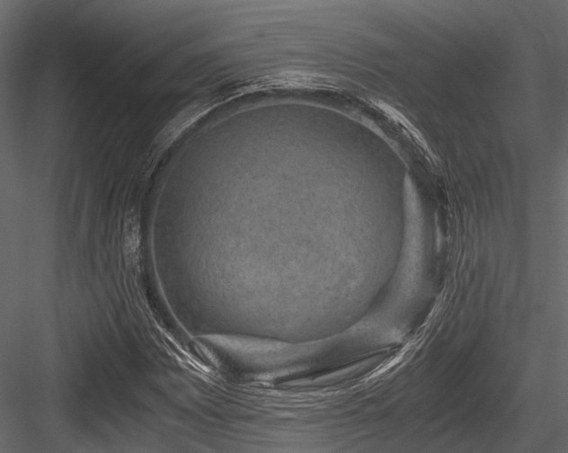 X0000084571065200702231253