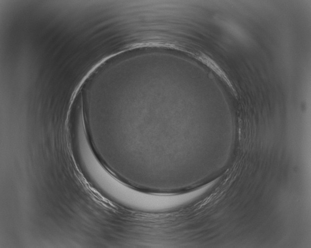 X0000084571068200702231253