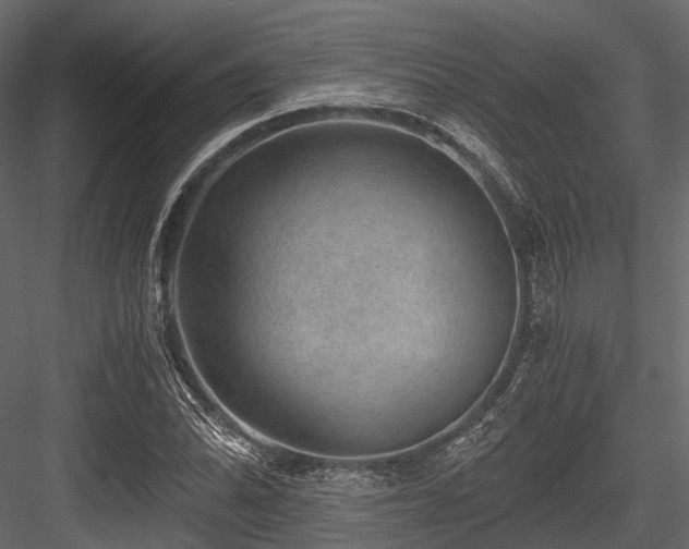 X0000084571070200702231253
