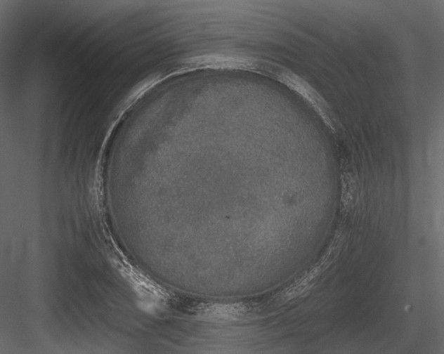 X0000084571074200702231252