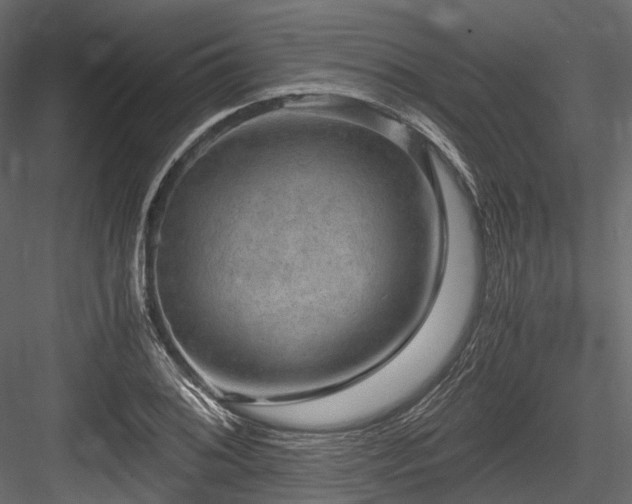 X0000084571076200702231252