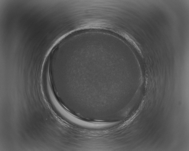 X0000084571077200702231252