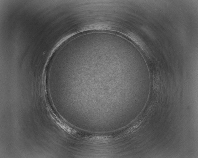 X0000084571078200702231252