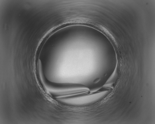 X0000084571085200702231252