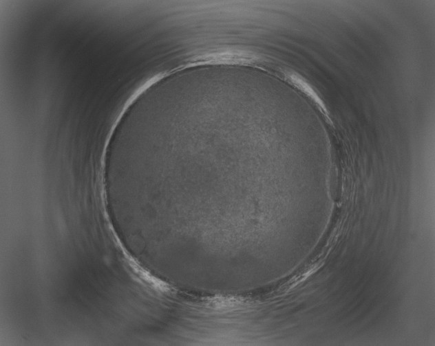 X0000084571087200702231252