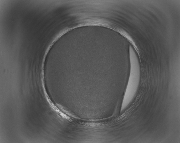X0000084571088200702231252