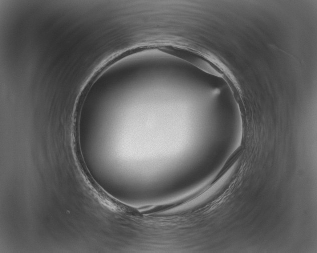 X0000084571093200702231252