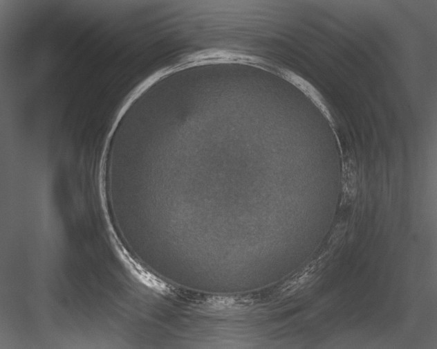X0000084571098200702231252
