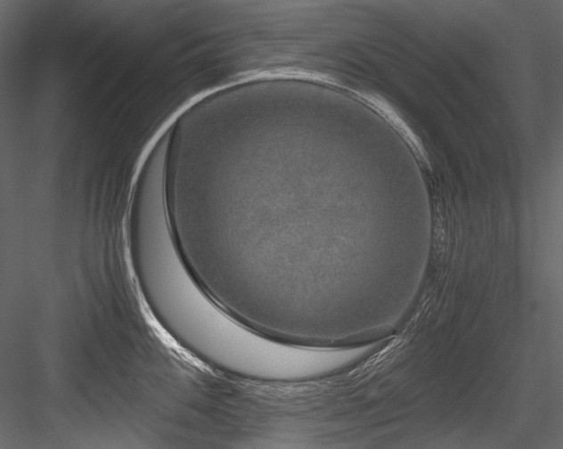 X0000084571100200702231252