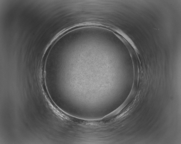 X0000084571101200702231252
