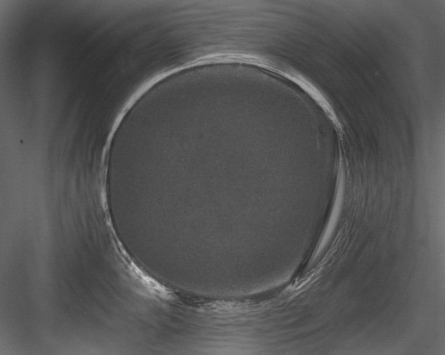 X0000084571102200702231252