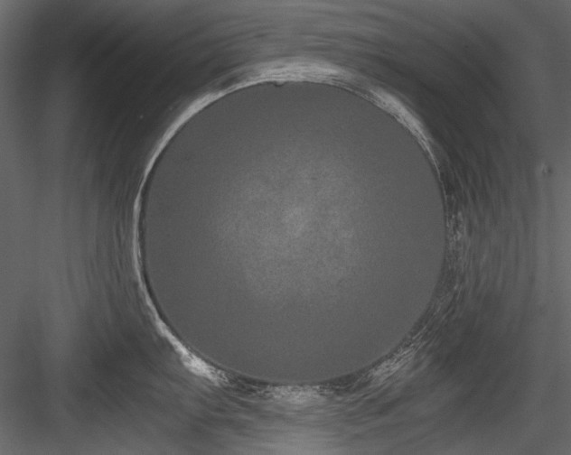 X0000084571103200702231252