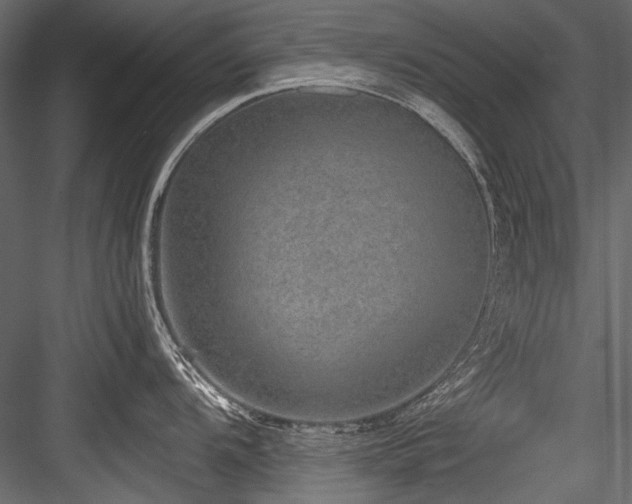 X0000084571104200702231252