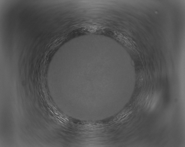 X0000084571105200702231251