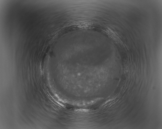 X0000084571106200702231251