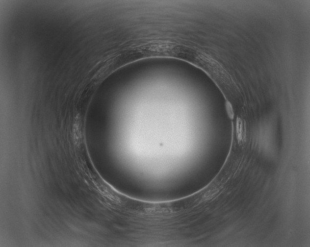 X0000084571107200702231251