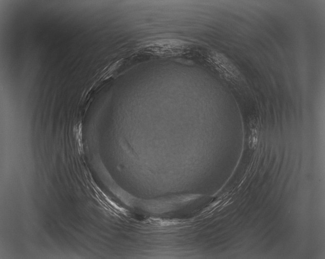 X0000084571108200702231251