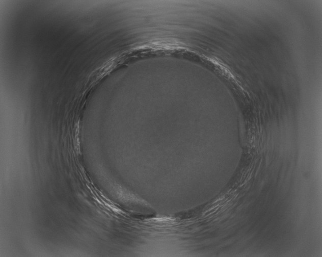 X0000084571110200702231251