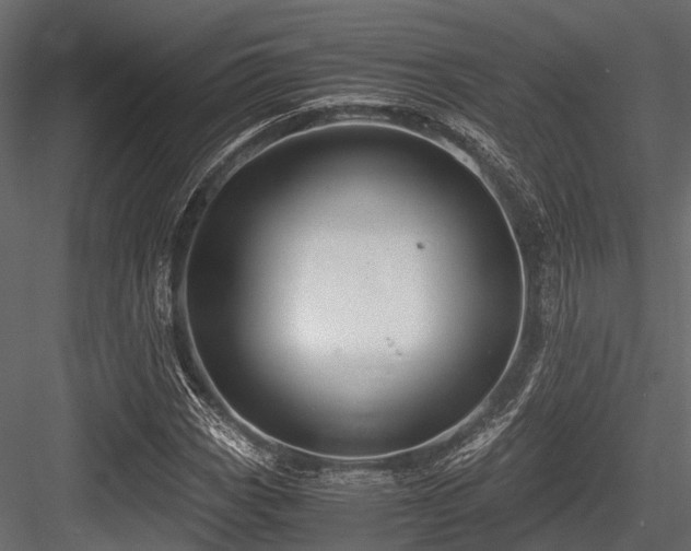 X0000084571113200702231251