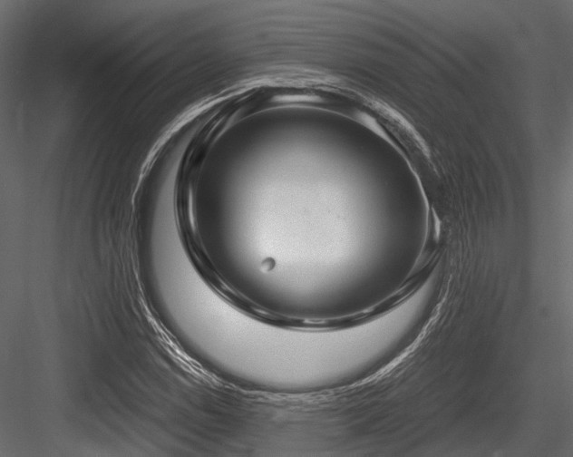 X0000084571114200702231251