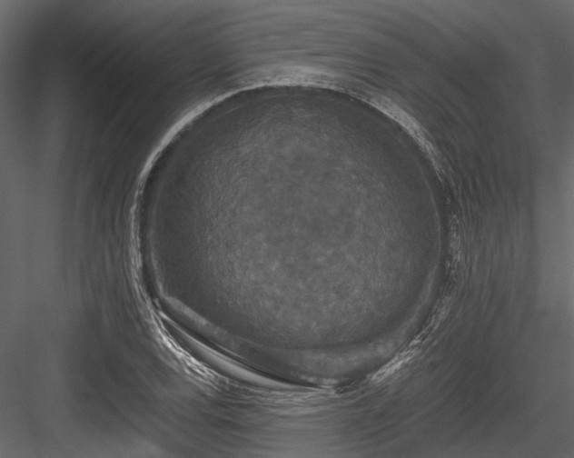 X0000084571120200702231251