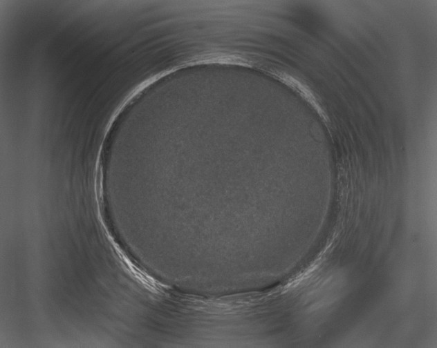 X0000084571125200702231251