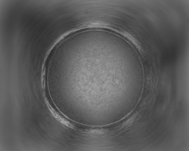 X0000084571126200702231251