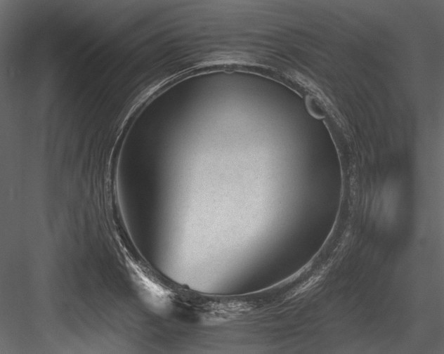X0000084571129200702231252