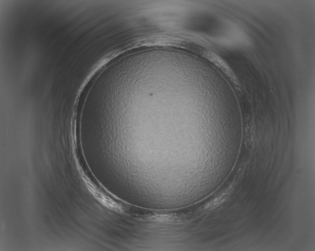 X0000084571130200702231252