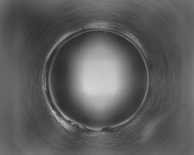 X0000084571131200702231252