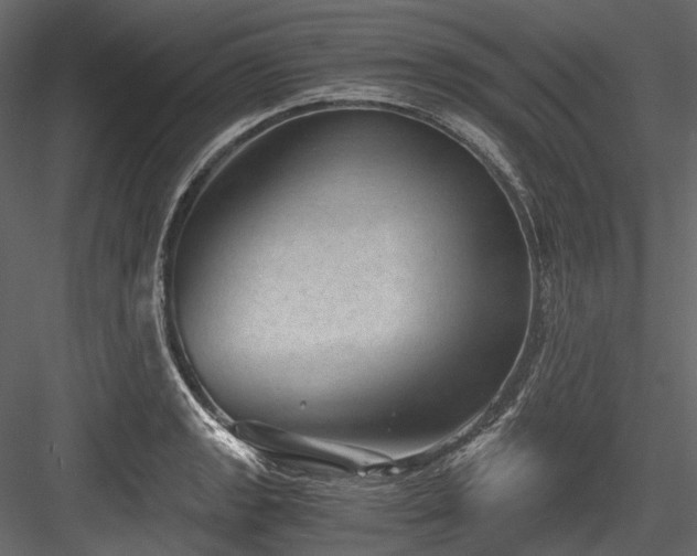 X0000084571133200702231252