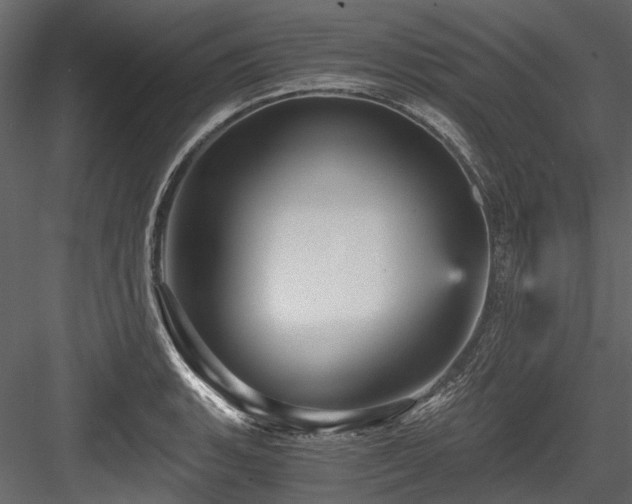 X0000084571135200702231252