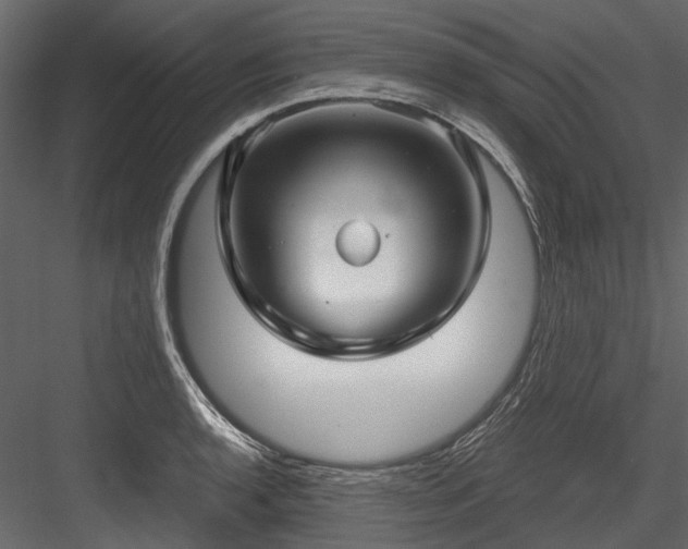X0000084571136200702231252