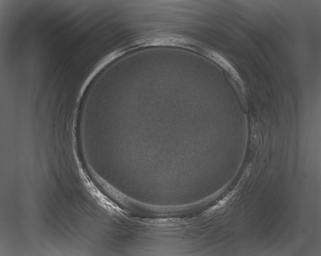 X0000084571138200702231252