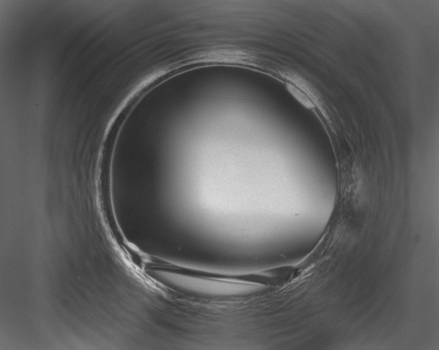 X0000084571139200702231252