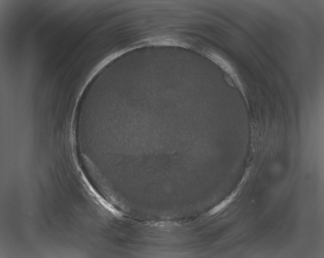 X0000084571141200702231252