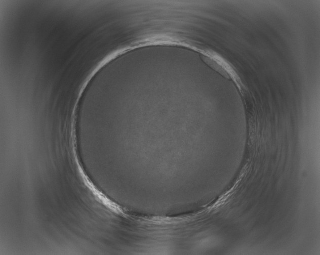 X0000084571142200702231252