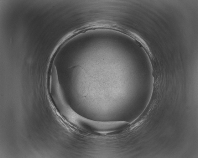 X0000084571146200702231252