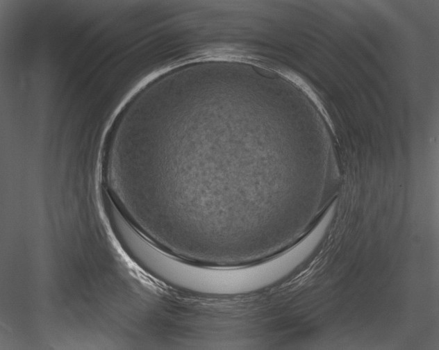X0000084571147200702231252