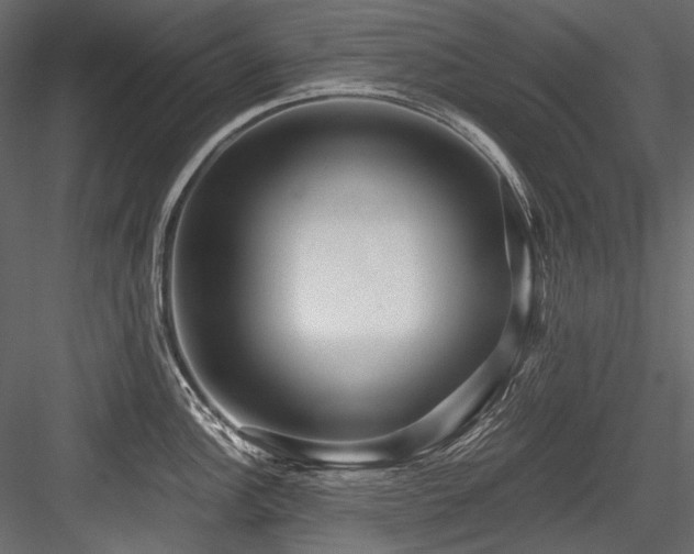X0000084571148200702231252