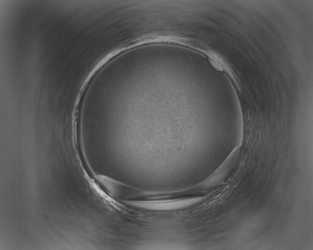 X0000084571151200702231252