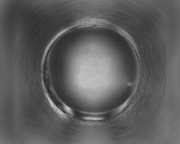 X0000084571152200702231252