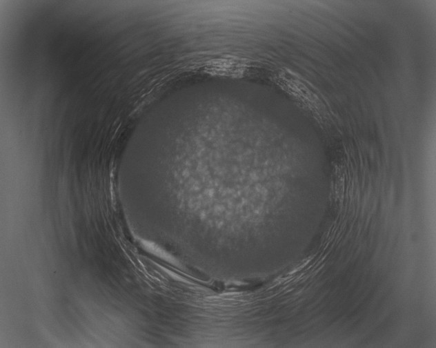 X0000084571154200702231251