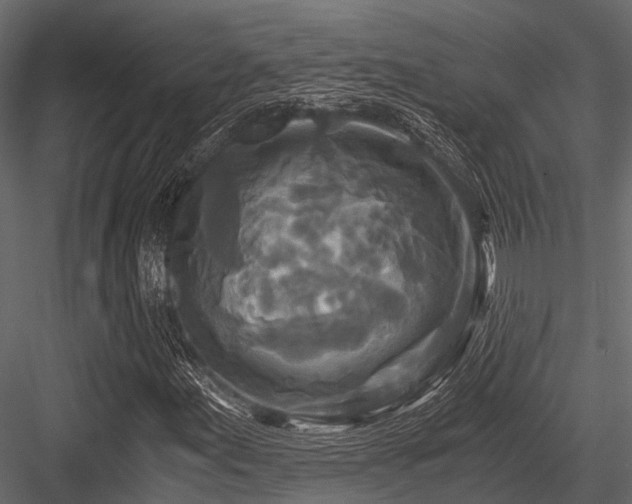 X0000084571155200702231251