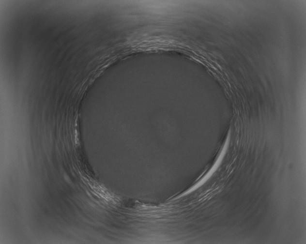 X0000084571156200702231251