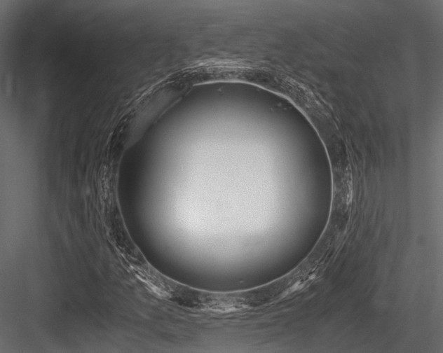 X0000084571157200702231251