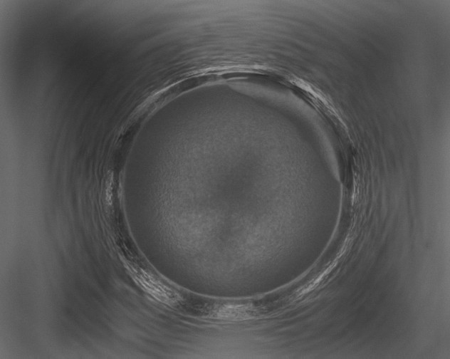 X0000084571161200702231251