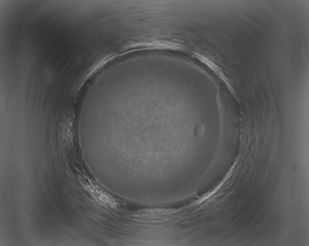 X0000084571163200702231251