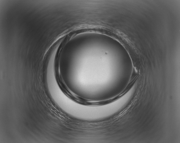 X0000084571165200702231251