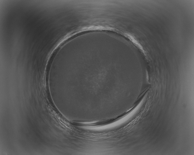X0000084571173200702231251